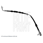 Blue Print Brake Hose (ADM553125)