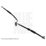 Blue Print Brake Hose (ADM553128)