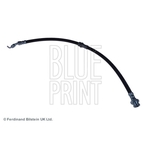 Blue Print Brake Hose (ADM55368)
