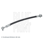 Blue Print Brake Hose (ADN153187)