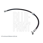 Blue Print Brake Hose (ADN153281)