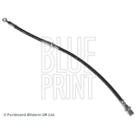 Blue Print Brake Hose (ADS75316)
