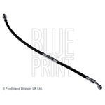 Blue Print Brake Hose (ADS75319)