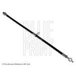 Blue Print Brake Hose (ADT353155)