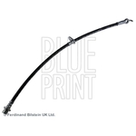 Blue Print Brake Hose (ADT353164)