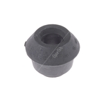 Blue Print Anti Roll Bar Bush (ADG08017)