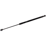 Blue Print Boot Gas Spring (ADBP580007) Fits: Hyundai Left or Right