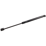 Blue Print Boot Gas Spring (ADBP580025) Fits: Hyundai Left or Right