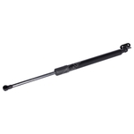 Blue Print Boot Gas Spring (ADBP580031) Fits: Mazda Right Rear