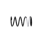 Blue Print Coil Spring (ADG088350) Front Axle