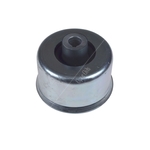 Blue Print Control Arm Bush (ADJ138030)