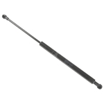 Blue Print Gas Spring (ADT35805) Fits: Toyota