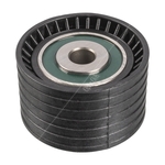 Blue Print Idler Pulley (ADBP760002)