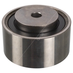 Blue Print Idler Pulley (ADBP760007)