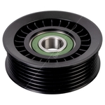 Blue Print Idler Pulley (ADBP960005) Fits: Honda