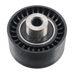 Blue Print Idler Pulley (ADC47660)
