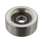 Blue Print Idler Pulley (ADT396514)