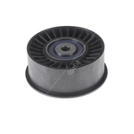 Blue Print Idler Pulley (ADZ97614)