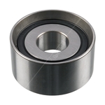 Blue Print Idler Pulley (ADZ97620)