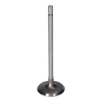 Blue Print Intake Valve (ADBP610135) Fits: Renault