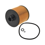 Blue Print Oil Filter (ADBP210111)