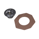 Blue Print Thermostat (ADH29201)