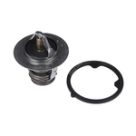 Blue Print Thermostat (ADH29221)