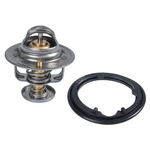 Blue Print Thermostat (ADH29223)