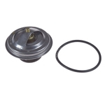 Blue Print Thermostat (ADJ139202)