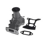 Blue Print Water Pump (ADD69109)