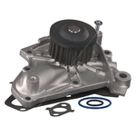 Blue Print Water Pump (ADT39136)