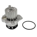 Blue Print Water Pump (ADV189102)