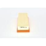 Bosch Air Filter Insert (1457433736)