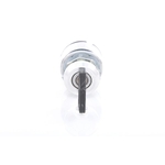 Bosch Ignition Switch (342311004)