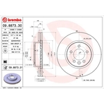 Brembo Prime Line UV Coated Vented Brake Disc (09.8873.31) Fits: Land Rover