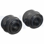 Delphi Anti-Roll Bar Bush Kit (TD1883W) Fits: Chrysler