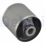 Delphi Control Arm - Trailing Arm Bush (TD1116W)