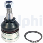 Delphi Lower Ball Joint (TC2406)
