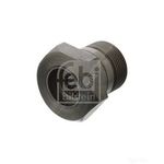 Flywheel Screw | Febi Bilstein 03162