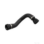 Radiator Hose | Febi Bilstein (103323)
