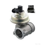 EGR Valve | Febi Bilstein (103572)