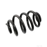 Coil Spring Rear | Febi Bilstein (104695)