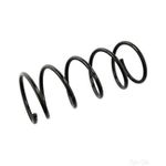 Coil Spring Front | Febi Bilstein (104698)