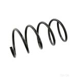 Coil Spring Front | Febi Bilstein (104707)