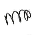 Coil Spring Front | Febi Bilstein (104708)