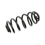 Coil Spring Rear | Febi Bilstein (104709)