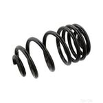 Coil Spring Rear | Febi Bilstein (104717)