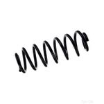 Coil Spring Rear | Febi Bilstein (104724)