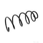 Coil Spring Front | Febi Bilstein (104725)