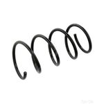 Coil Spring Front | Febi Bilstein (104727)
